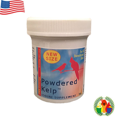  Powdered Kelp 3온스 (요오드결핍 및 면역력에 도움을 주는 제품) 21년 2월